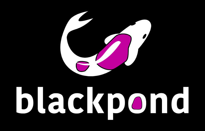 blackpond - neues Logo